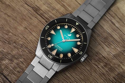 wren diver one watch.